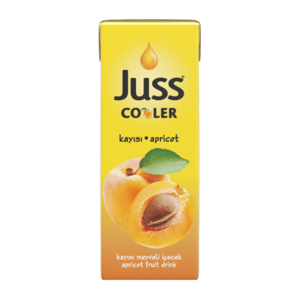 Juss Kayısı Meyveli İçecek 200ml