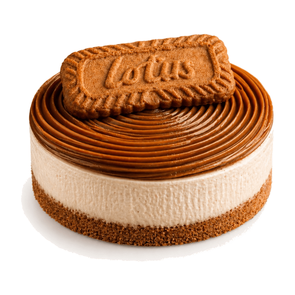 Lotus Mono Cheesecake