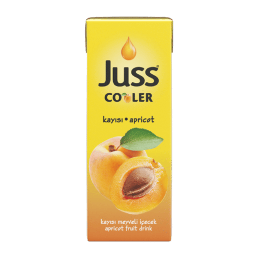 Juss Kayısı Meyveli İçecek 200ml
